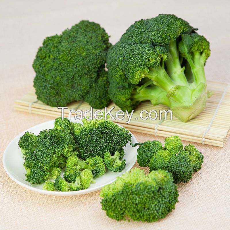 Hot Sale Natural Fresh Broccoli