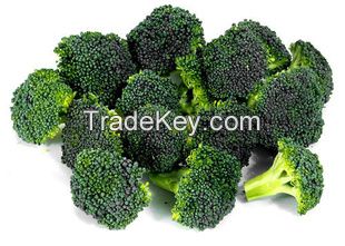 Hot Sale Natural Fresh Broccoli