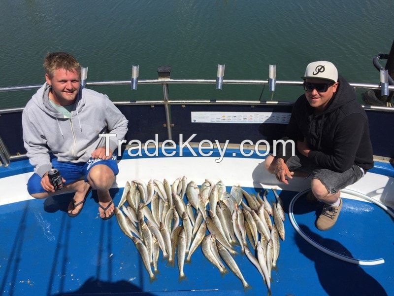 4 Hour Fishing Trips Melbourne | Reel Adventure Fishing Charters