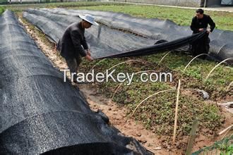 HDPE shade nets