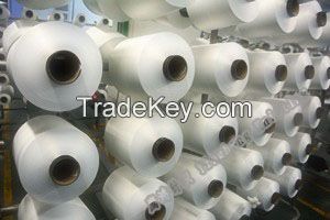 Nylon 6 Yarn