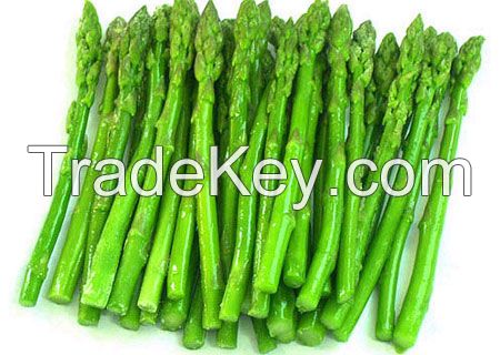 Fresh Asparagus