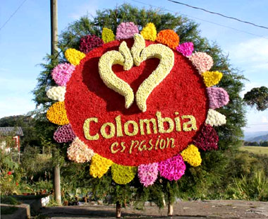 Colombian Flowers