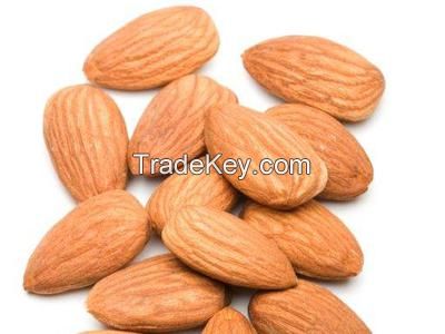 Raw Almond Nut