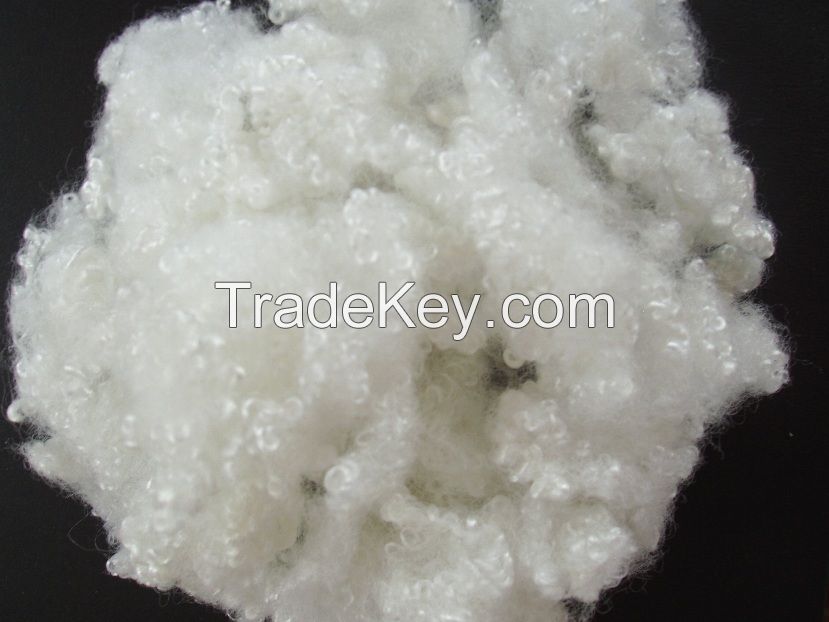 Polyester Fiber