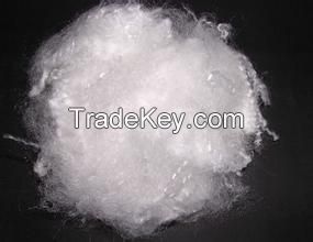 Polyester Fiber