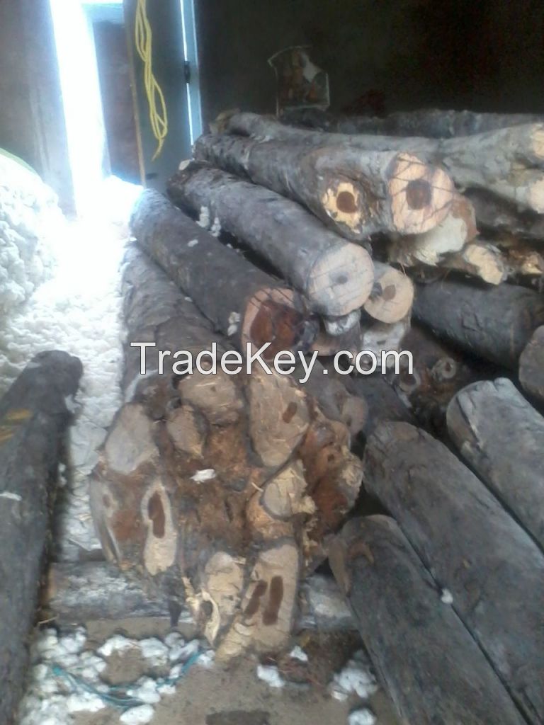 Red sandalewood for sale -India