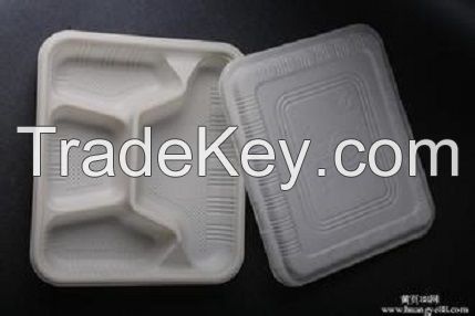 biodegradable compostable disposable Product