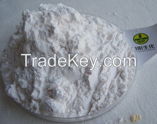 Tapioca starch flour