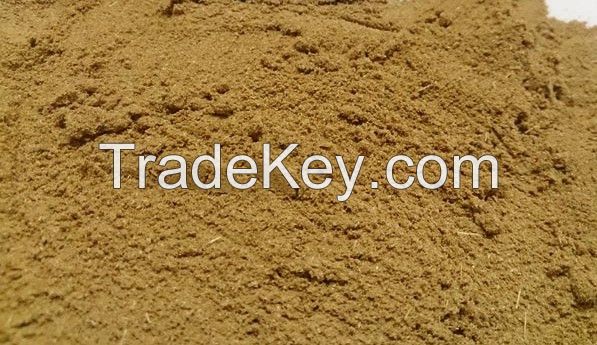 cumin powder