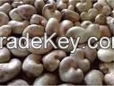 Raw Cashew Nuts