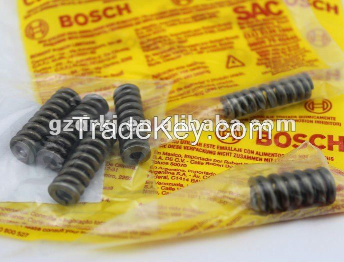 Compression Spring ISO/TS 16949