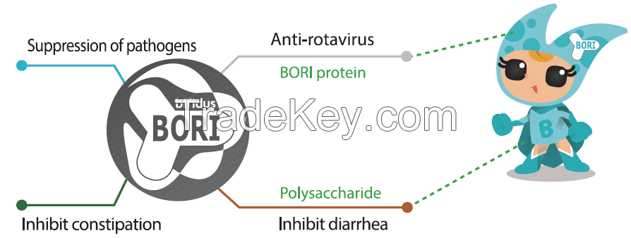 Bifidobacterium bifidum BORI