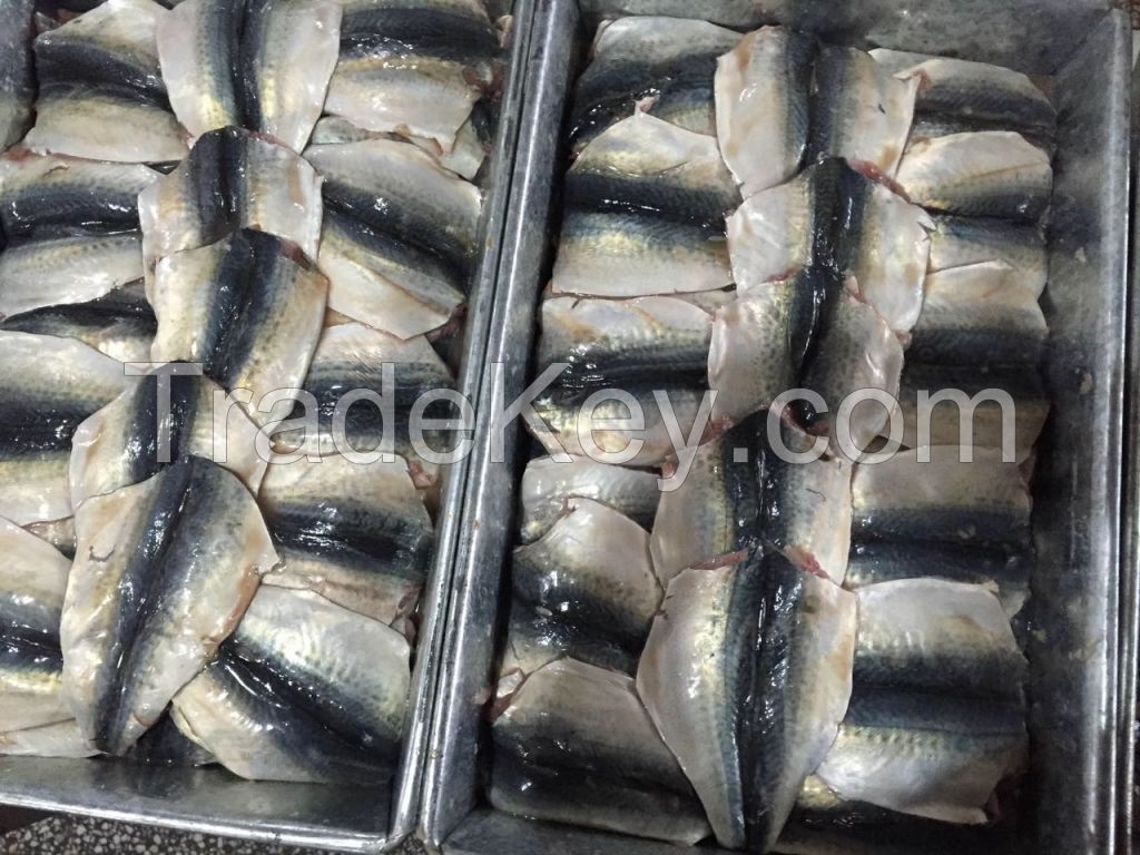 Sea Frozen Pacific Mackerel Butterfly | Freshwater Butterflyfish | African Butterflyfish | Butterfly Fish Fillet