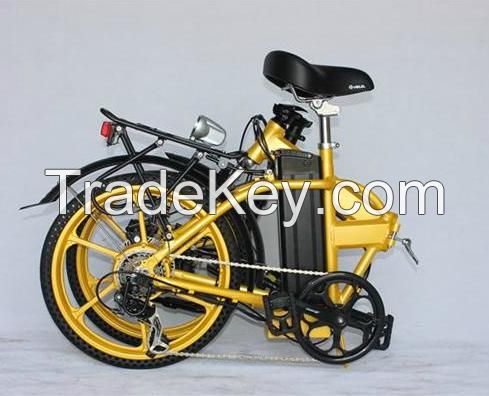 Foldable Electric Bicycle with TUV Certificate (JSL039X48)