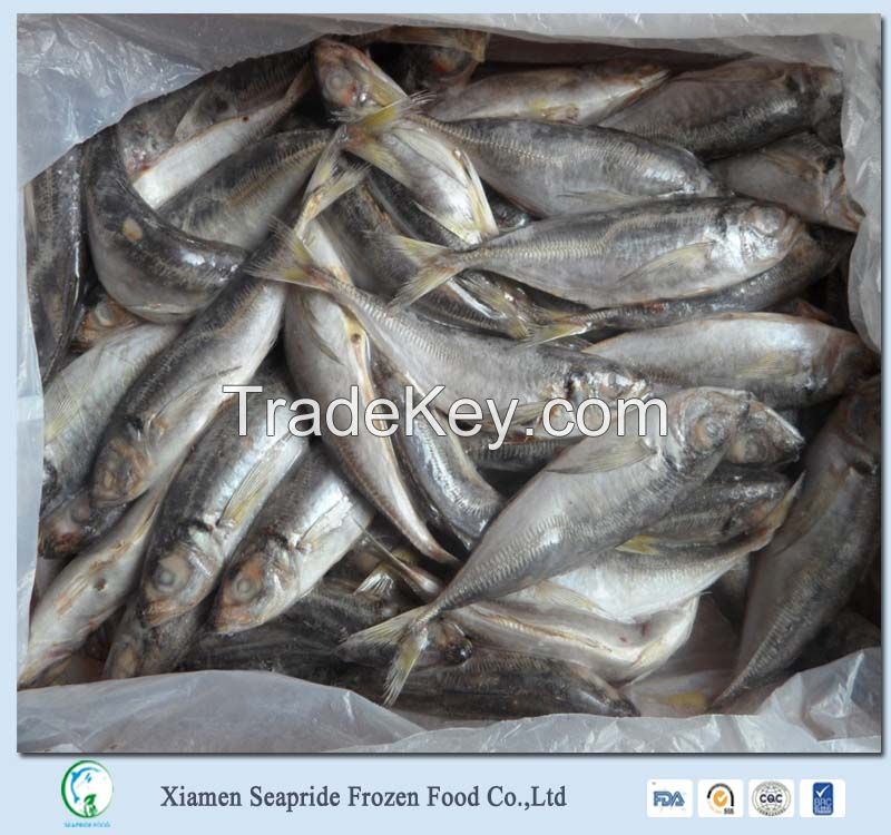 Sea Fish Best Seafood With Fresh Frozen Mackerel Fish Horse Mackerel