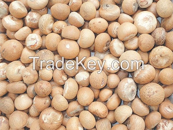 â€‹Betel Nuts SPLIT 60-65% good cut, well dried