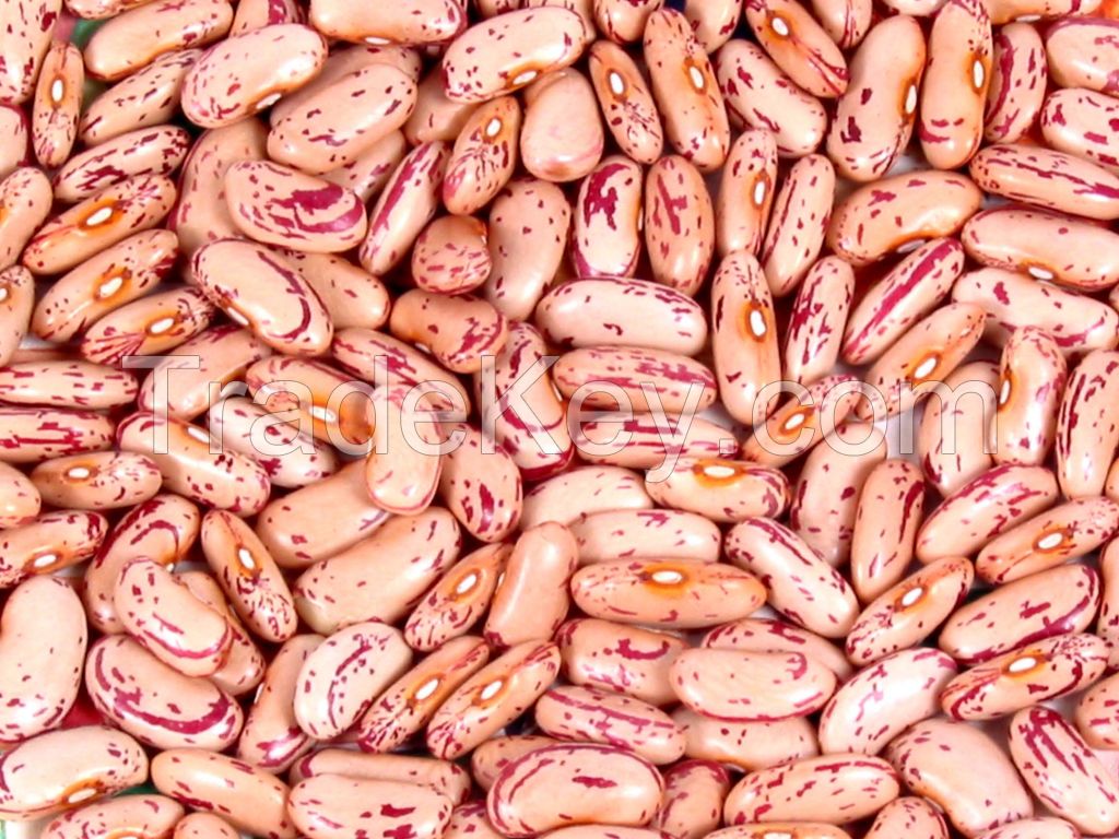 Pink kidney beans