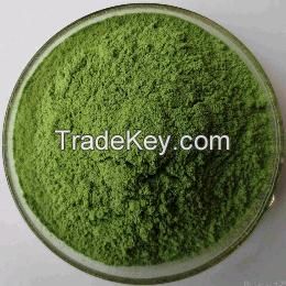 Organic Alfalfa powder 