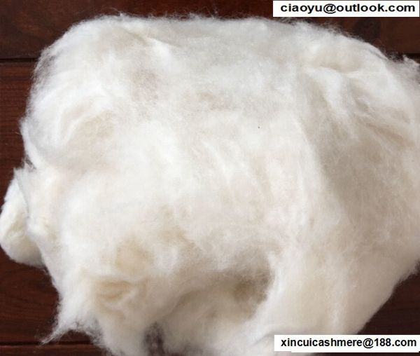 White dehaired cashmere fibre from china