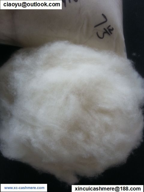 Chinese washed carded wool