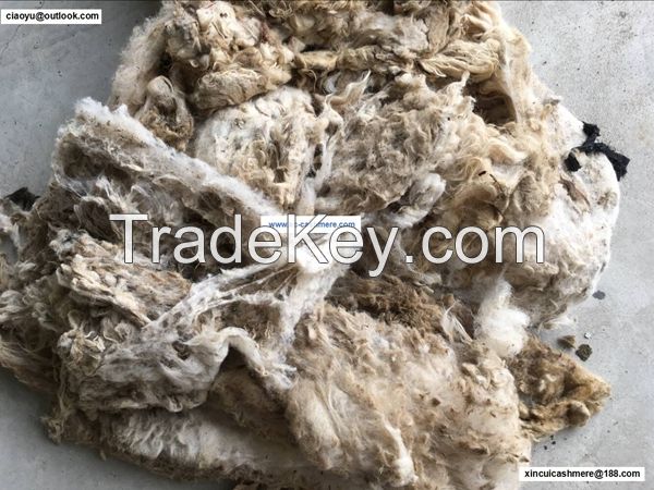 carpet grade raw greasy clipped wool from xingjiang china