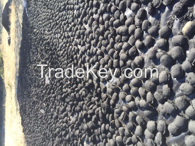 Namibian hardwood charcoal and briquettes