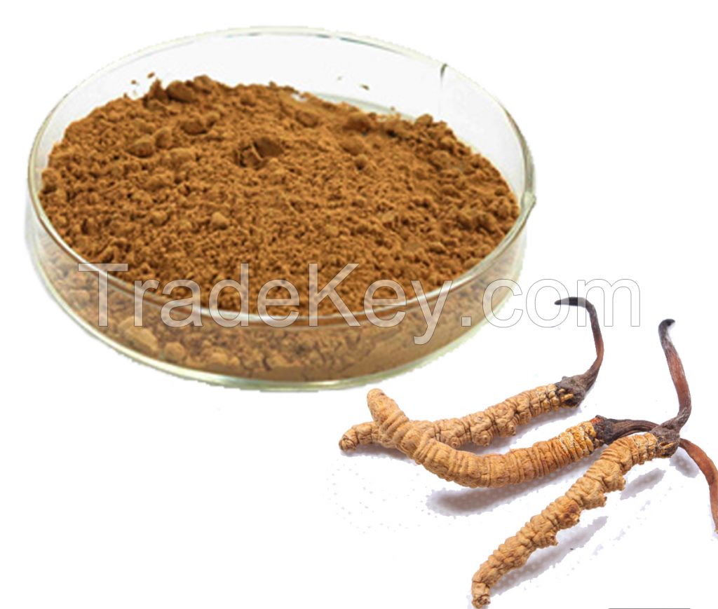 Powdered Cordyceps Mortierella Mycelia