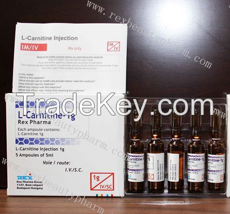 Rex L-carnitine injection 2g/5ml for weight losing with good effect and competitive price