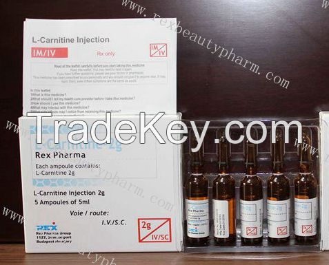 ELE L-carnitine injection 2g/5ml for weight losing with good effect and competitive price
