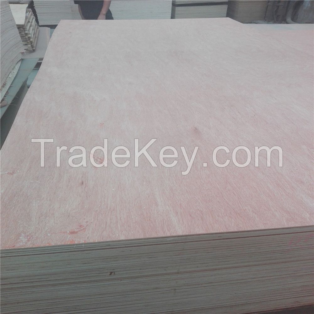 18mm phenolic, construction plywood made in China
