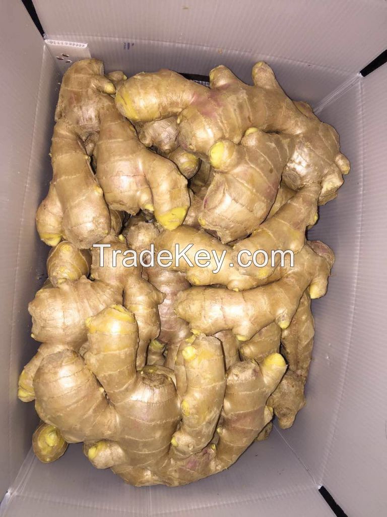 FRESH AIR DRIED GINGER