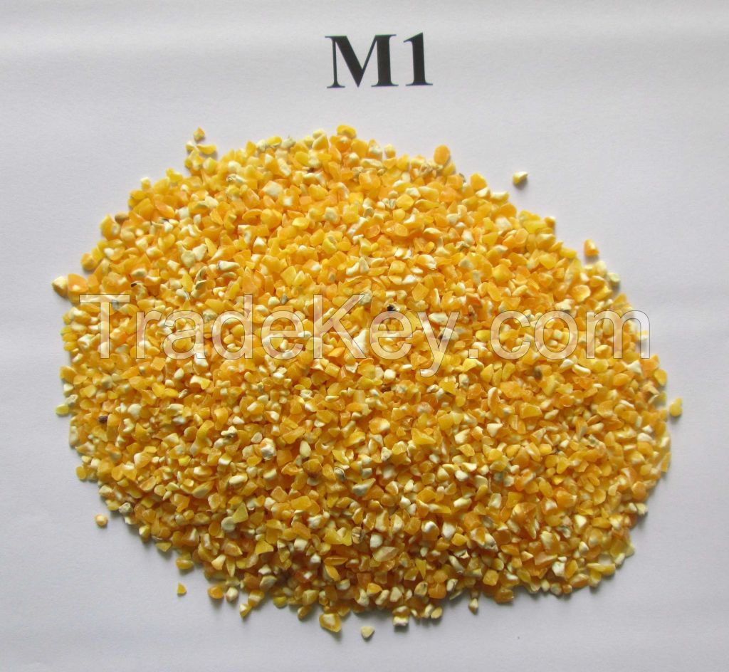 Maize grits/ Corn grits