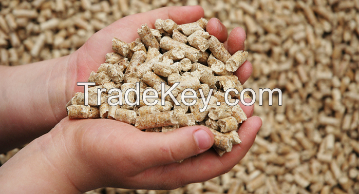 Poultry feed