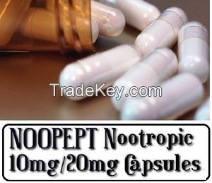 Noopept powder/capsule