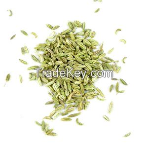 FENNEL POWDER