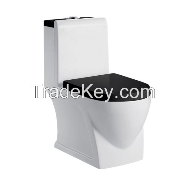 washdown one-piece toilet