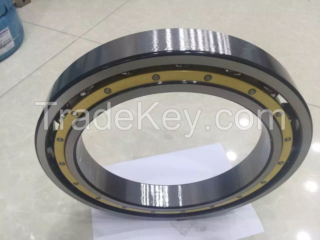 6006zz Deep Groove Ball Bearing