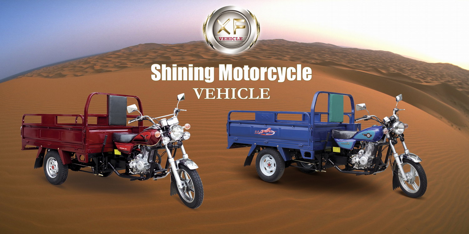 3 wheel motorcycle  (good pick up and lower oil consumption )