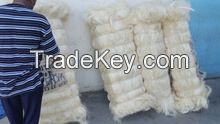 100% Natural Sisal Fiber UG / SSUG Grade A From Kenya