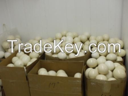 ostrich eggs for sale 