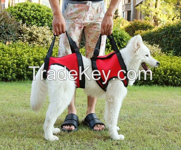 Older dog and Hurt dog Helping Walking belt harness