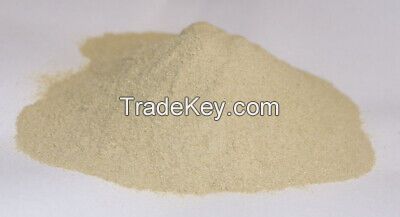 Typhonium Flagelliforme POWDER/CAPSULE