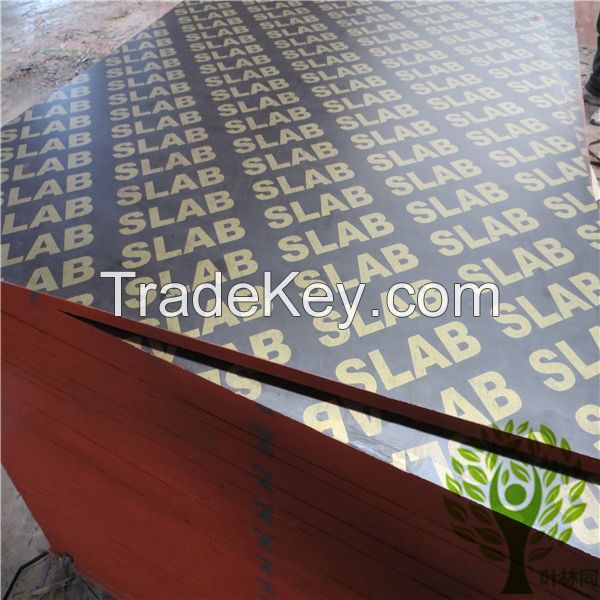 Shandong film faced plywood
