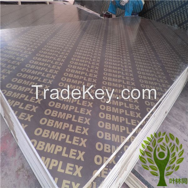 Shandong film faced plywood