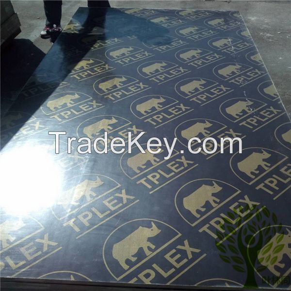 Shandong film faced plywood