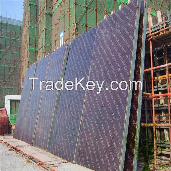 Big size film faced plywood from manufacture