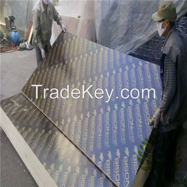 Big size film faced plywood from manufacture