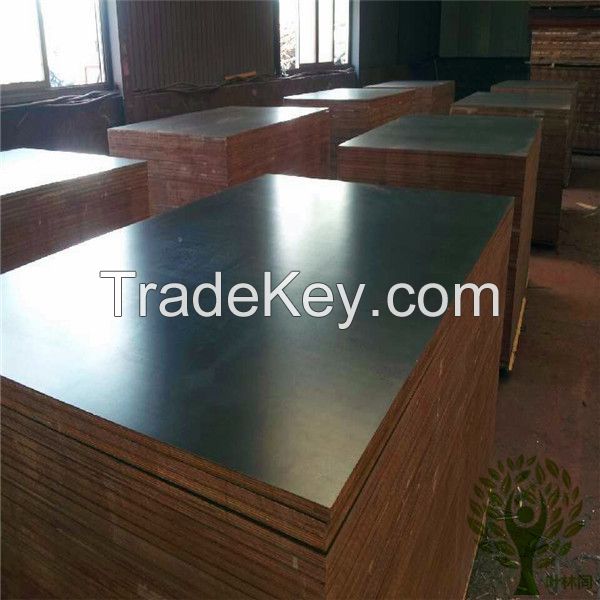 Film faced waterproof plywood for construction