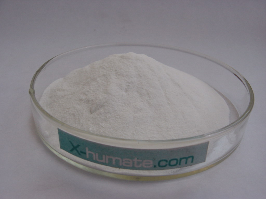 sodium formate 95%